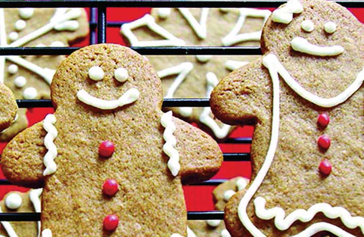 recipe_gingerbread_cookies_main